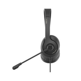 FH100i Stereo Headset