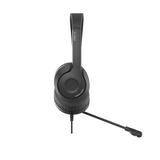 FH100i Stereo Headset